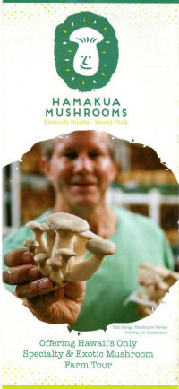 Hamakua Mushrooms 