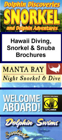 Hawaii Diving, Snorkel & Snuba Brochures