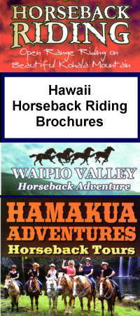 Hawaii Horseback Riding Brochures