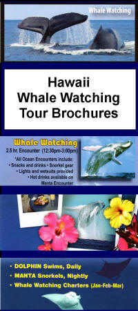 Hawaii Whale Watching Tour Brochures