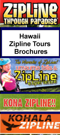 Hawaii Zipline Tour Brochures