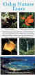 Oahu Nature Tour Brochure